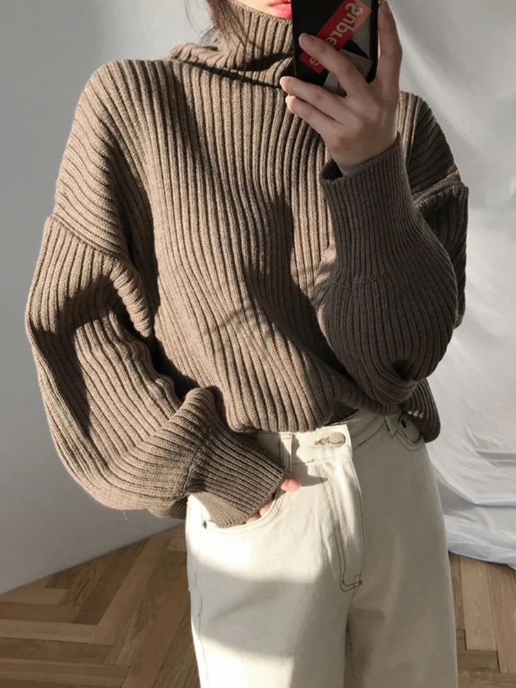 Chunky Turtleneck Knit Sweater
