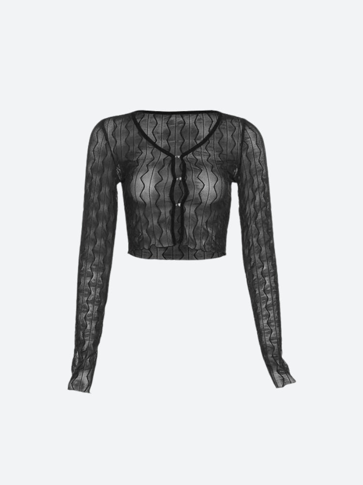 Sheer Crop Top